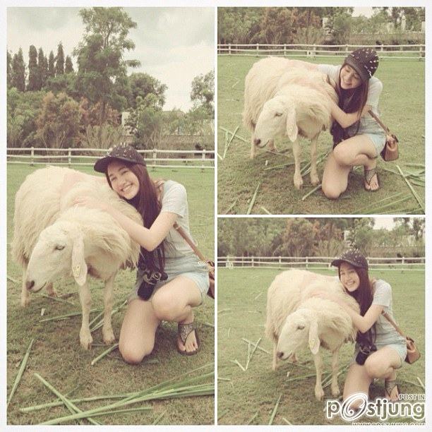 พิม มีน จินนี่ ชอบใครมาที่สุด