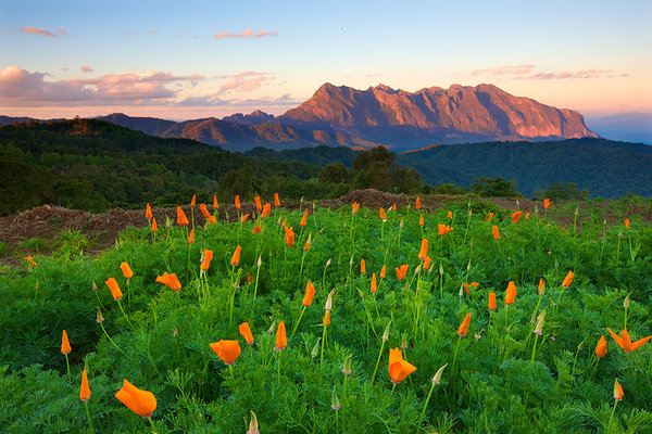 ภาพสวยบนโลกใบนี้