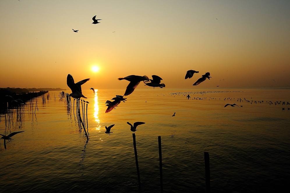 ภาพสวยบนโลกใบนี้