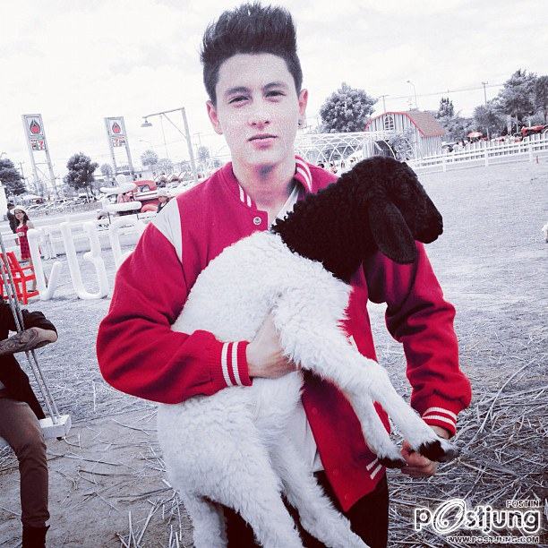 Gavin 3.2.1@IG