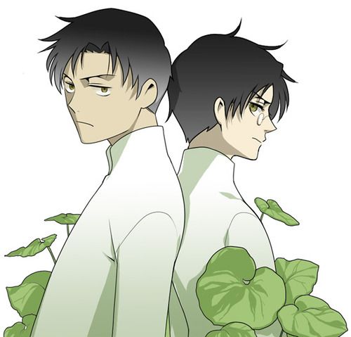 สาวกการ์ตูน