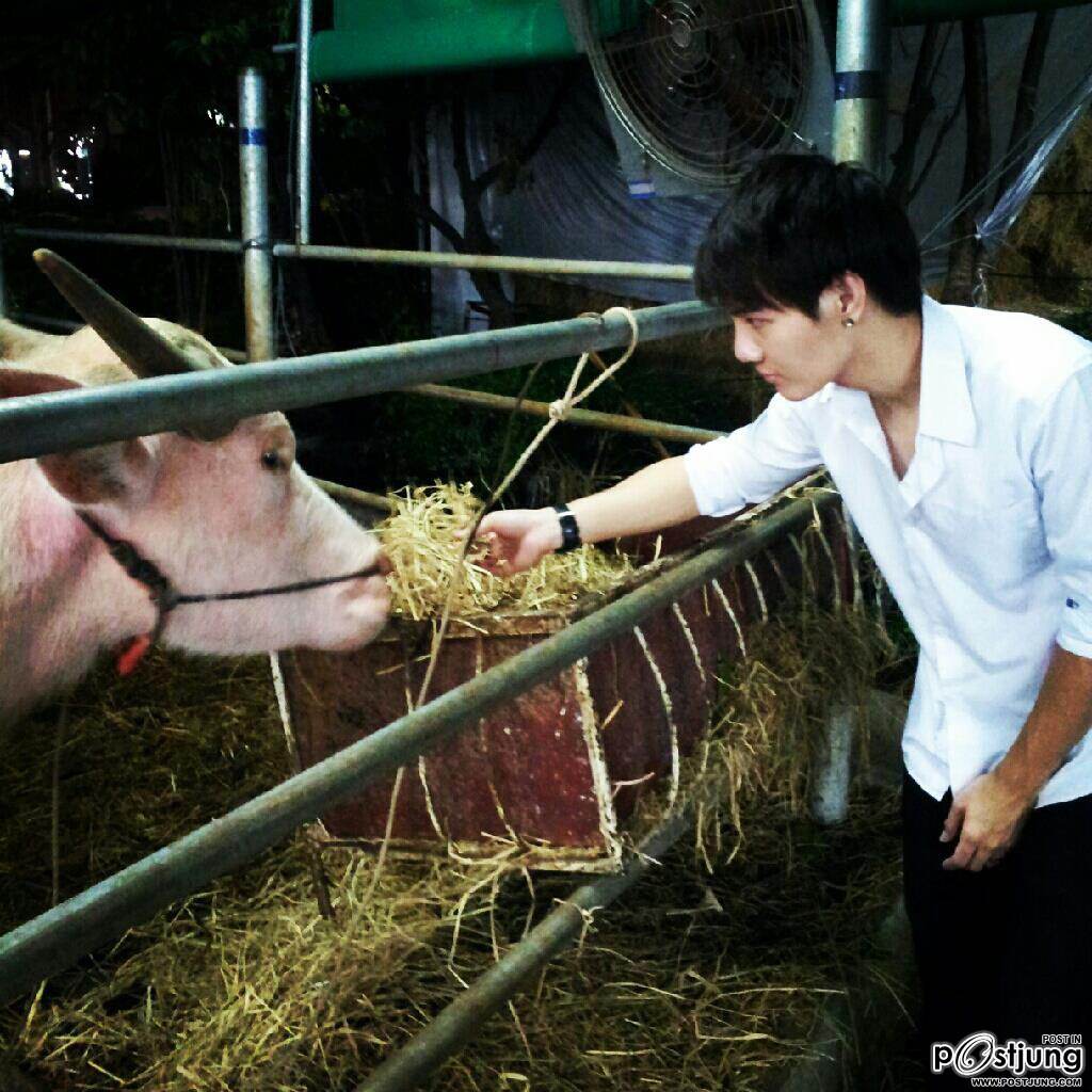 แบงค์