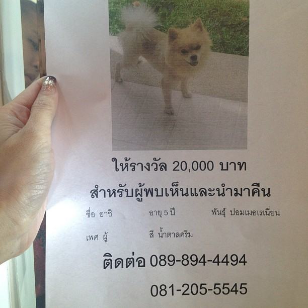 อั้ม พัชราภา อัพเดต