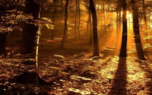 A beautiful World