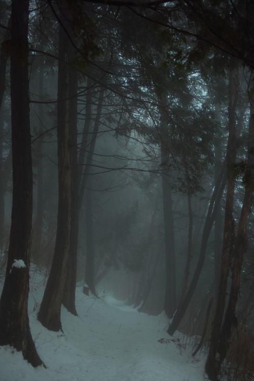 A beautiful World