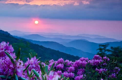A beautiful World