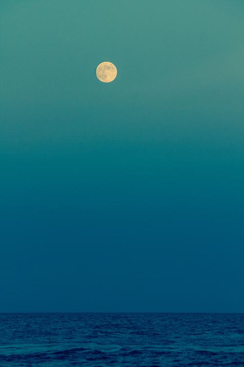 A beautiful World