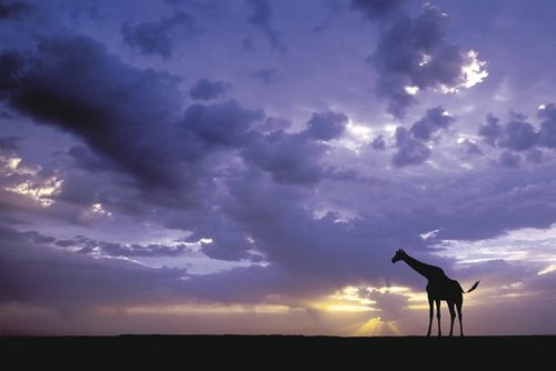 A beautiful World 1