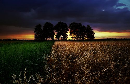 A beautiful World 1