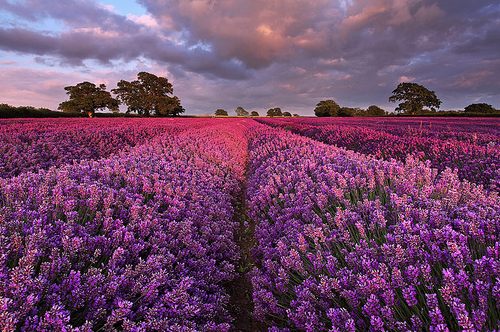 A beautiful World 1