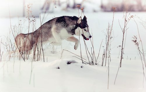 A beautiful World 2