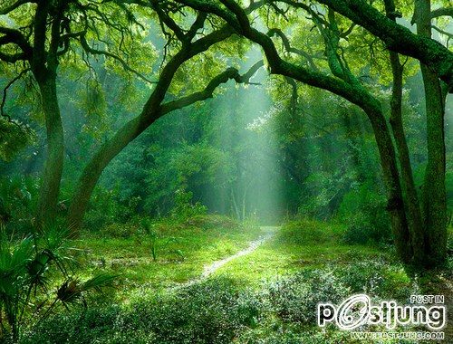 A beautiful World 2