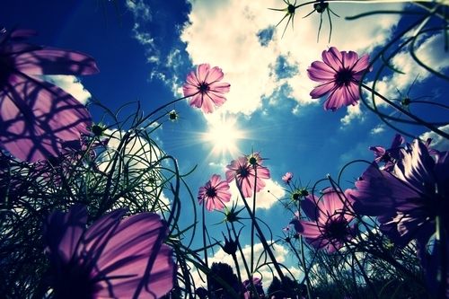 A beautiful World 3