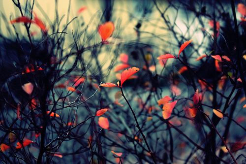 A beautiful World 3