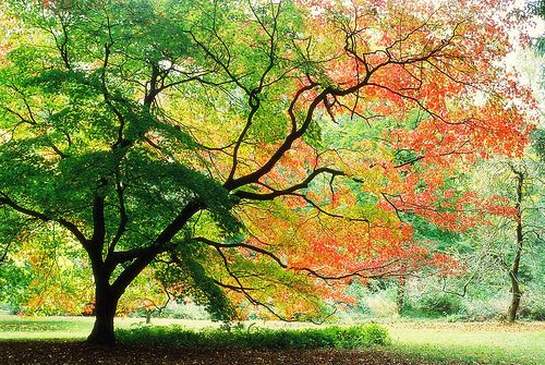 A beautiful World 3