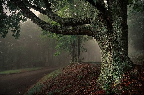 A beautiful World 3