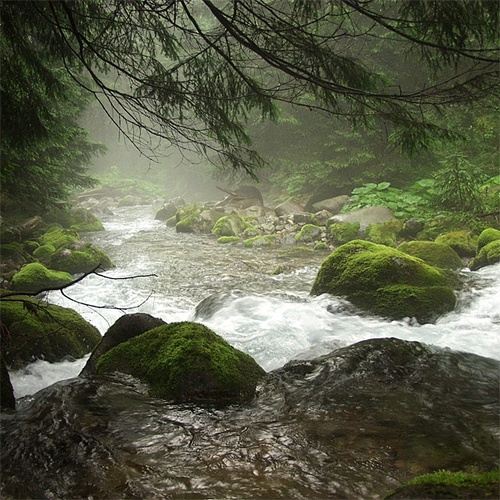 A beautiful World 4