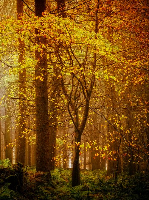 A beautiful World 4