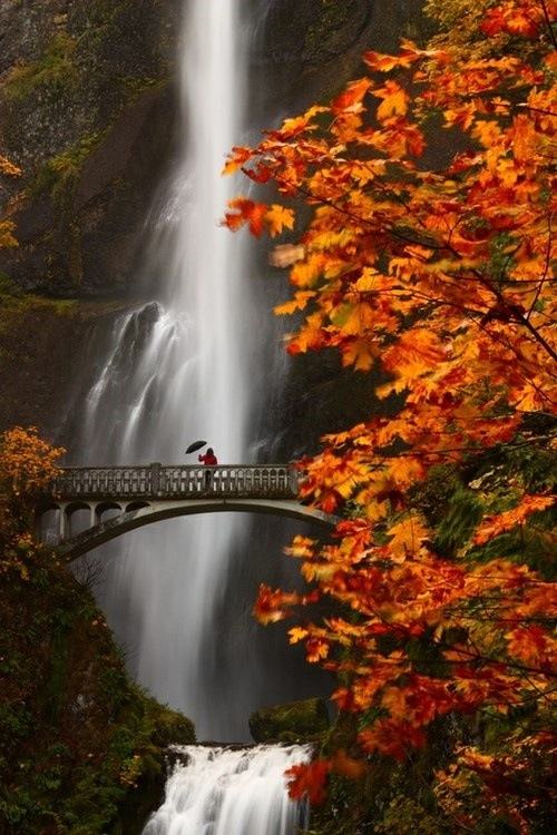 A beautiful World 4
