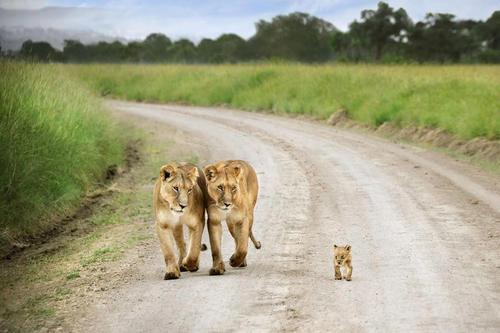 A beautiful World 5