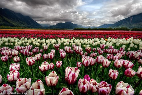 A beautiful World 5