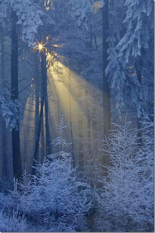 A beautiful World 5