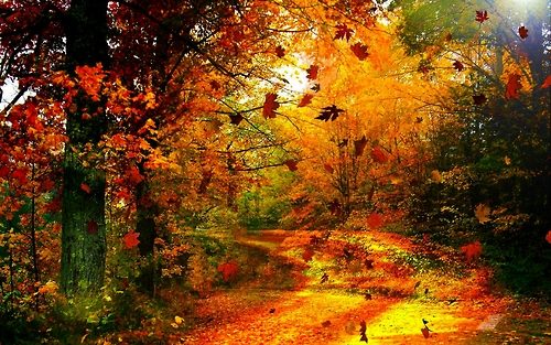 A beautiful World 5