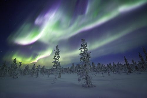 A beautiful World 5