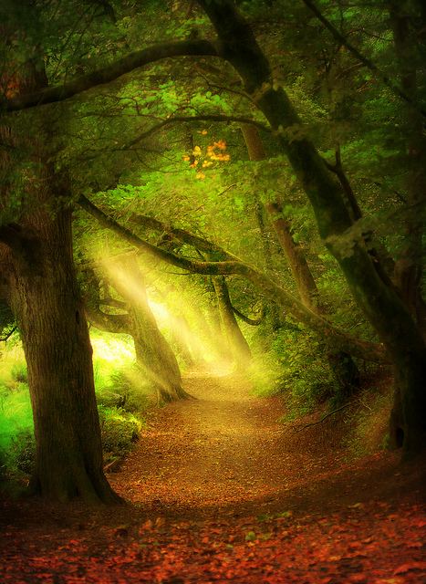 A beautiful World 5
