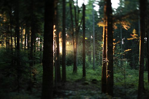 A beautiful World 5