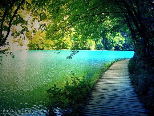A beautiful World 5