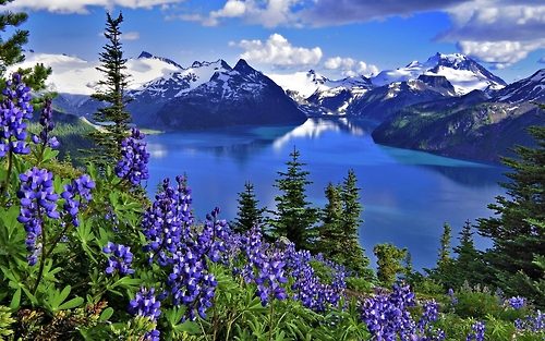 A beautiful World 5