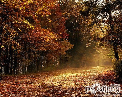 A beautiful World 6