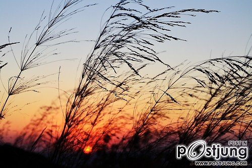 A beautiful World 6