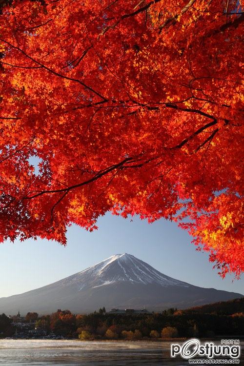 A beautiful World 6