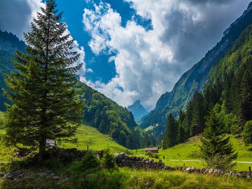 A beautiful World 7