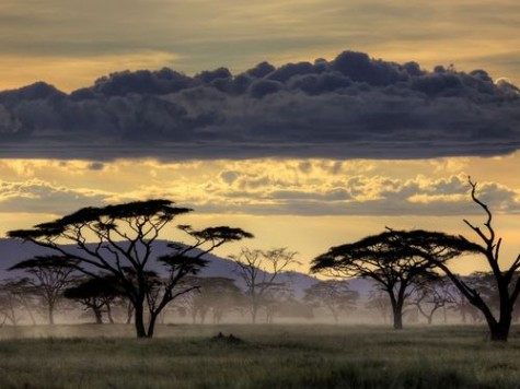 A beautiful World 7