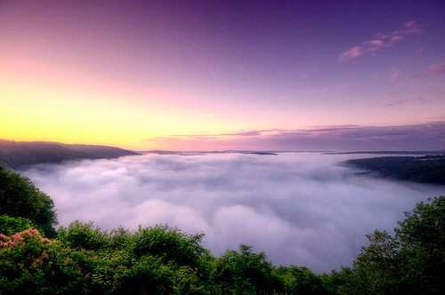 A beautiful World 7