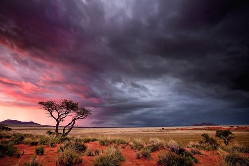 A beautiful World 8