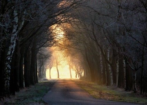 A beautiful World 8