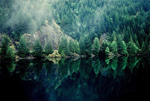 A beautiful World 8