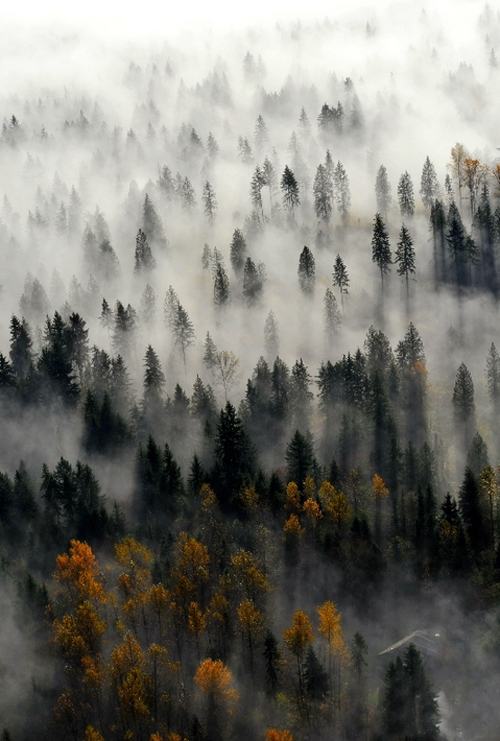 A beautiful World 8