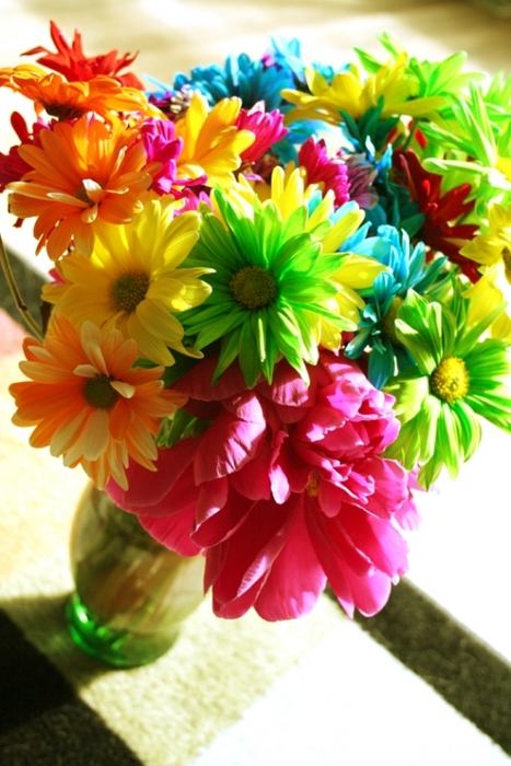 Colorful 1