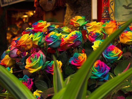 Colorful 2