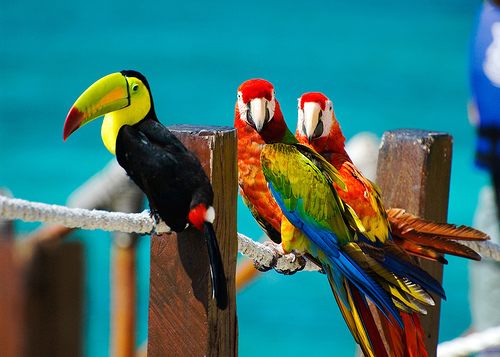 Colorful 3