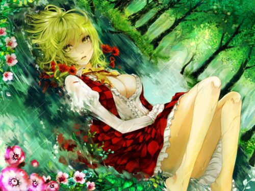 สาวกการ์ตูน 5