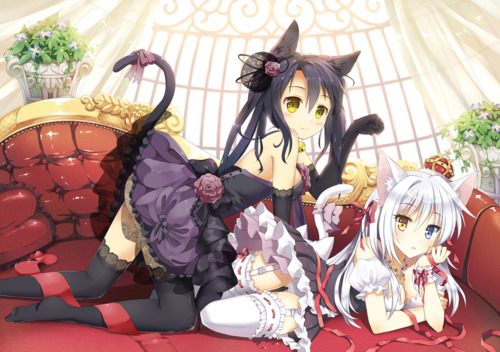 สาวกการ์ตูน 5