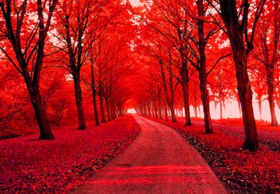 คนรัก สีแดง