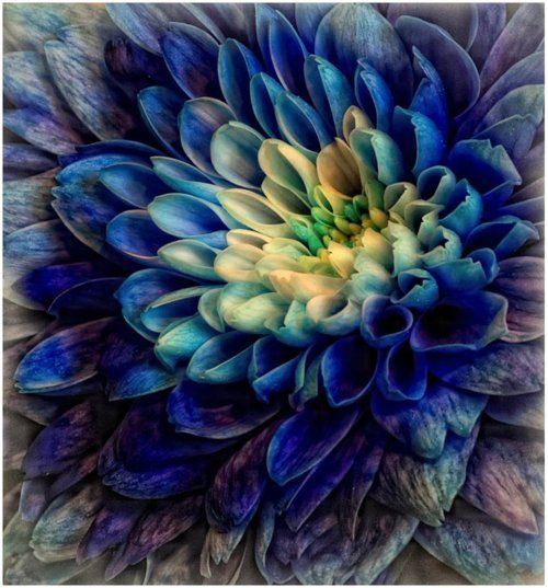 สีสันบนโลก