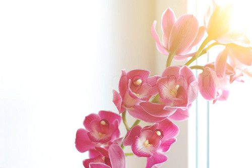 สีสันบนโลก